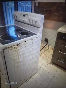 Professional Cleaning Lady 6478665326 - Photo 8