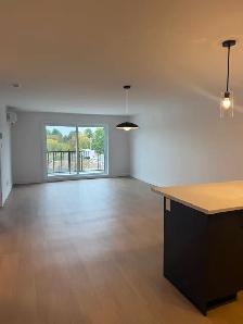 DEUX MOIS GRATUITS - 5 1/2 à  St-Cyrille-de-Wendover - Photo 4