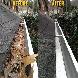 EAVESTROUGH CLEANING AND REPAIRS