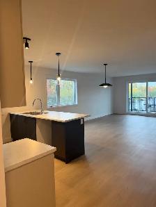 DEUX MOIS GRATUITS - 4 1/2 ST-CYRILLE-DE-WENDOVER - Photo 2