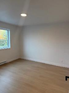DEUX MOIS GRATUITS - 4 1/2 ST-CYRILLE-DE-WENDOVER - Photo 6