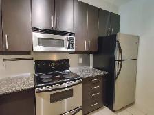 1 Bed   1 Den/Flex   1 Bath 850 sq ft Bridegland Condo for Rent - Photo 4
