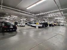 1 Bed   1 Den/Flex   1 Bath 850 sq ft Bridegland Condo for Rent - Photo 12