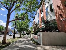 1 Bed   1 Den/Flex   1 Bath 850 sq ft Bridegland Condo for Rent - Photo 13