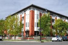 1 Bed   1 Den/Flex   1 Bath 850 sq ft Bridegland Condo for Rent - Photo 14