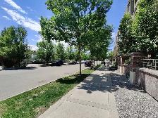 1 Bed   1 Den/Flex   1 Bath 850 sq ft Bridegland Condo for Rent - Photo 19