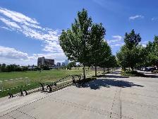 1 Bed   1 Den/Flex   1 Bath 850 sq ft Bridegland Condo for Rent - Photo 21