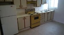 2 Bedroom ByWard Market Apartment for Rent (152 Guigues Ave) - Photo 4