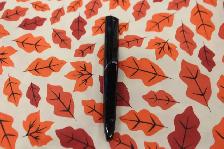 Livescribe pen (7999) - Photo 4