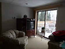 Bright and comfortable 1br apartment in Port Arthur - Nov. 15th - Photo 5