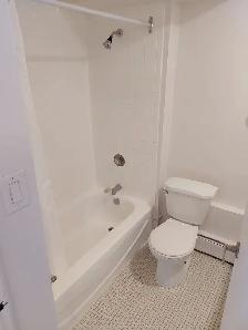 1 Bedroom ALL-INCLUSIVE Lowertown Apartment (198 Boteler St) - Photo 3