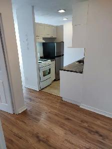 1 Bedroom ALL-INCLUSIVE Lowertown Apartment (198 Boteler St) - Photo 4