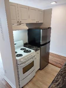 1 Bedroom ALL-INCLUSIVE Lowertown Apartment (198 Boteler St) - Photo 5