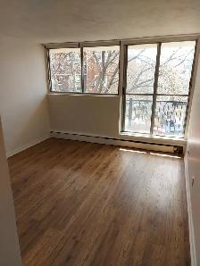 1 Bedroom ALL-INCLUSIVE Lowertown Apartment (198 Boteler St) - Photo 7