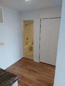 1 Bedroom ALL-INCLUSIVE Lowertown Apartment (198 Boteler St) - Photo 9