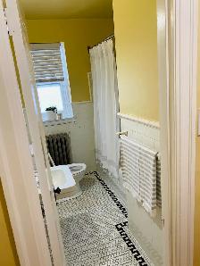 $1019 Historical Basesment Bachelor!w/bonus! - Photo 5
