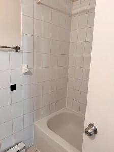 LARGE FURNISHED ROOM DOWNTOWN TORONTO