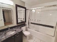 1 Bed   1 Den/Flex   1 Bath 850 sq ft Bridegland Condo for Rent - Photo 7