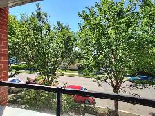 1 Bed   1 Den/Flex   1 Bath 850 sq ft Bridegland Condo for Rent - Photo 9