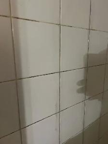 Dirty Shower Tiles and Grout Cleaning $120 - Photo 4