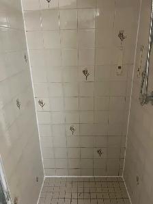 Dirty Shower Tiles and Grout Cleaning $120 - Photo 5