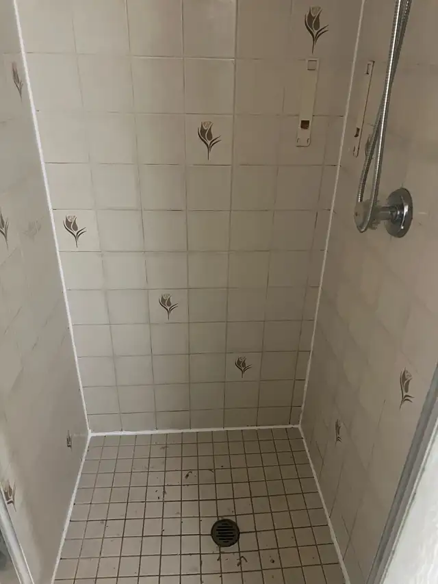 Re-Caulking Shower Bathtub $120