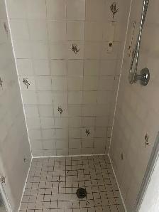 Re-Caulking Shower Bathtub $120