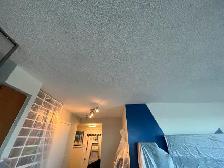 Painting Contractor — Ajax — 416-838-1391 - Photo 3