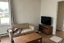 Painting Contractor — Ajax — 416-838-1391 - Photo 5