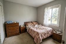 Painting Contractor — Ajax — 416-838-1391 - Photo 7