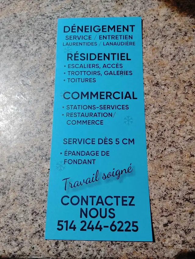 Service déneigement manuel