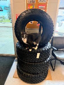 QUALITY USED AUTO PARTS! - Photo 6