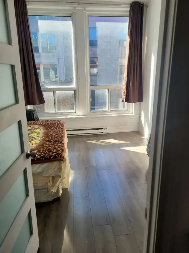 Downtown Sunny Room For Rent, Available Now