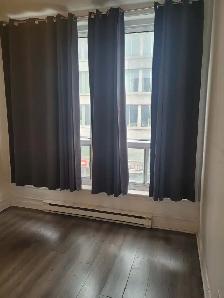 Downtown Sunny Room For Rent, Available Now - Photo 8
