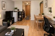 A Bedroom for Rent – Downtown Toronto - Photo 3