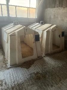 calf hutches - Photo 3