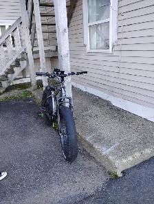 E-BIKE - Photo 3