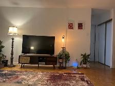 sublet one-bedroom