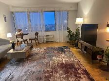 sublet one-bedroom - Photo 2