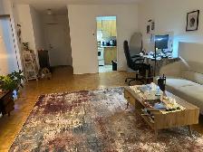 sublet one-bedroom - Photo 3