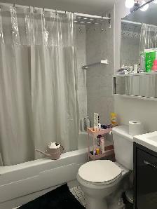 sublet one-bedroom - Photo 5