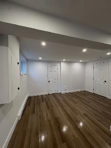 1 chambre semi sous-sol HULL - Photo 3