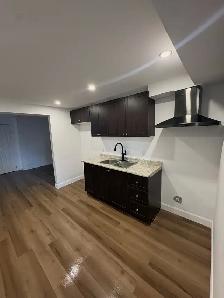 1 chambre semi sous-sol HULL - Photo 5