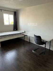 Bedrooms for rental  Mississauga/Brampton, Hwy407&Hurontario St - Photo 10