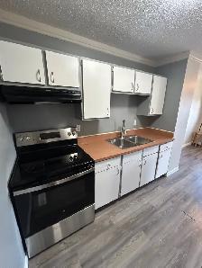 330 Ross Haven Drive - Photo 2