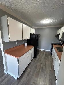 330 Ross Haven Drive - Photo 3