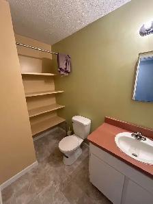 330 Ross Haven Drive - Photo 7