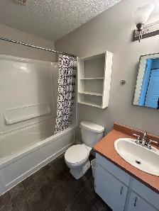 330 Ross Haven Drive - Photo 16