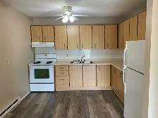 2444 Cléroux Crescent #104: 2 Bedroom Apartment (Gloucester) - Photo 4