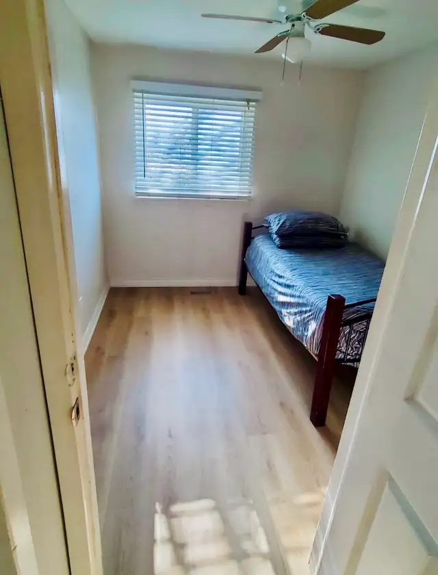 Roommate Needed